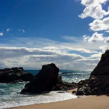 Santa Fe * Lloret de Mar